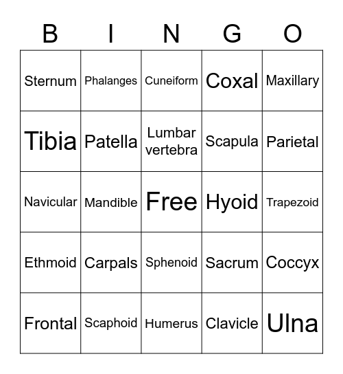 Bone Bingo Card