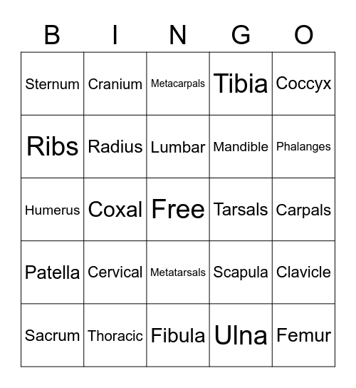 Bingo Bones Bingo Card