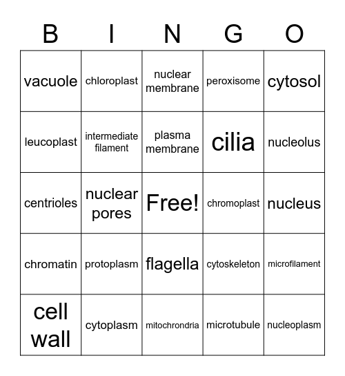 cell bingo Card
