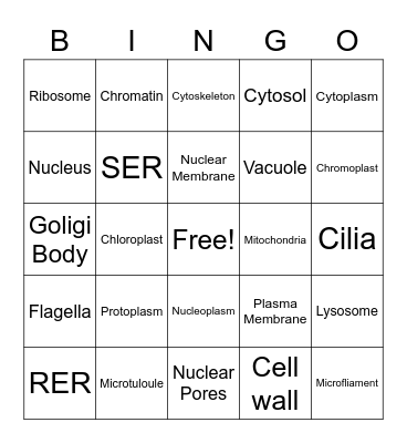 Organelle Bingo Card