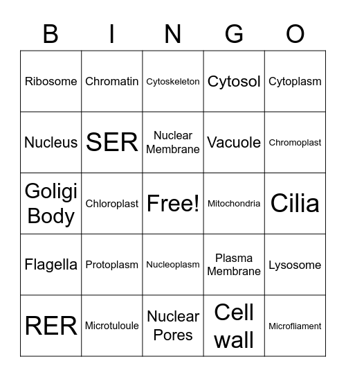 Organelle Bingo Card