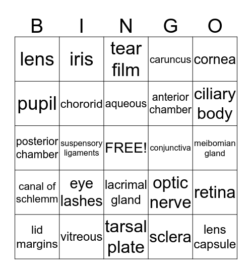 The Eyes Bingo Card