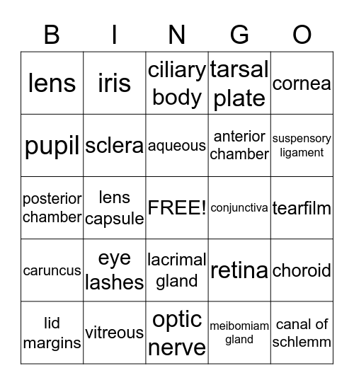 The Eye Bingo Card