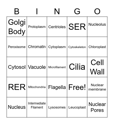Cell Organelles Bingo Card