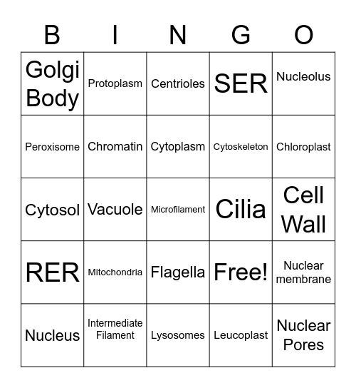 Cell Organelles Bingo Card