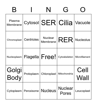 Cell BINGO Card