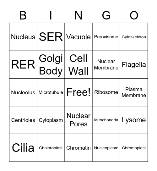 Biology Bingo Card