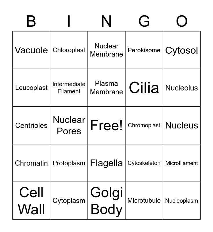 Cell Organelle Bingo Card