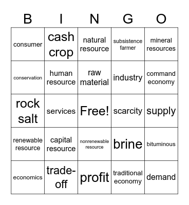 Chapter 3 Vocab Words Bingo Card