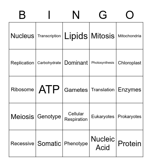 1st Semester Biology Bingo Card