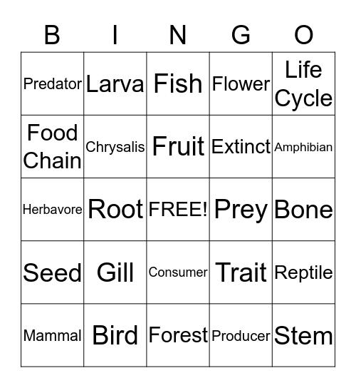 Plants and Animals Bingo Card