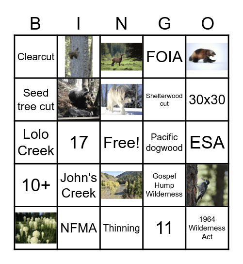 FOC Annual Meeting Bingo Card