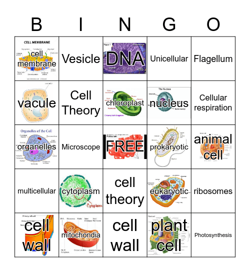 CELL BINGO Card