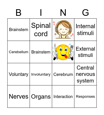 Nervous System Bingo Card