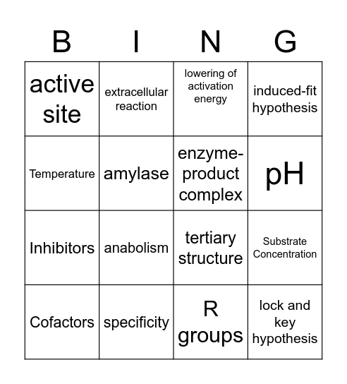 Enzymes Bingo Card