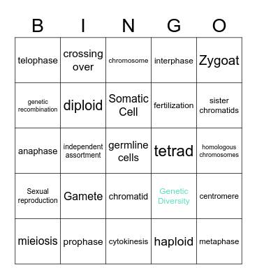 Bingo Bacon Bingo Card