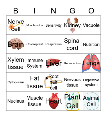 7A Cells Bingo Card