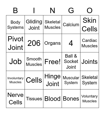 Ch. 7 Lesson 1 & 2 Review Bingo Card