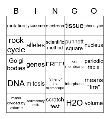 The Year in Review Bingo Card