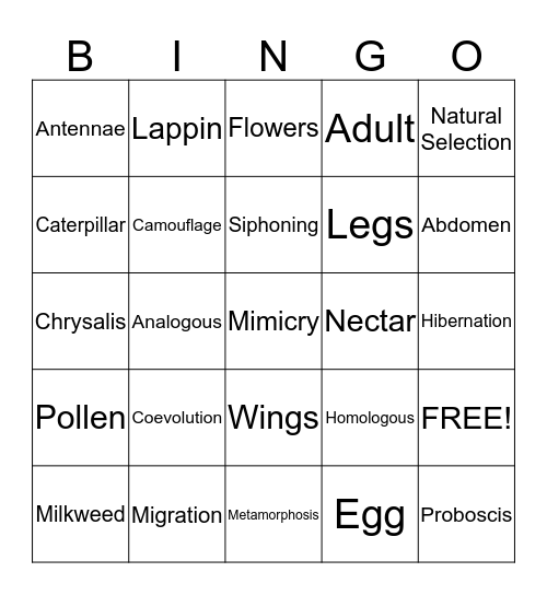 Butterfly Bingo Card