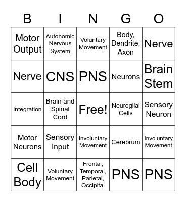 The Nervous System Bingo Card
