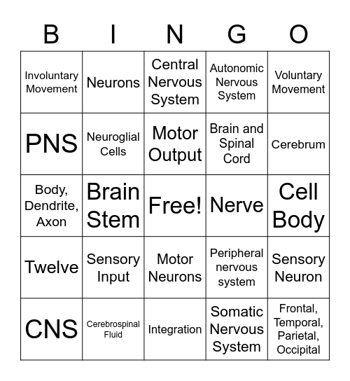 The Nervous System Bingo Card