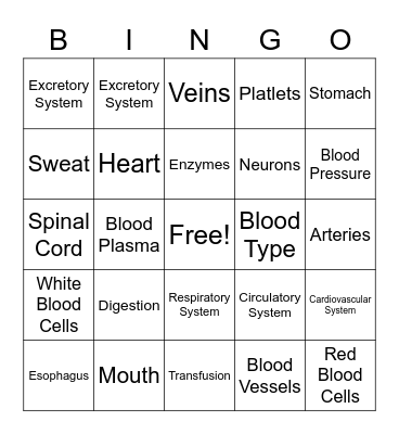 Ch.7 Lesson 3 & 4 Review Bingo Card