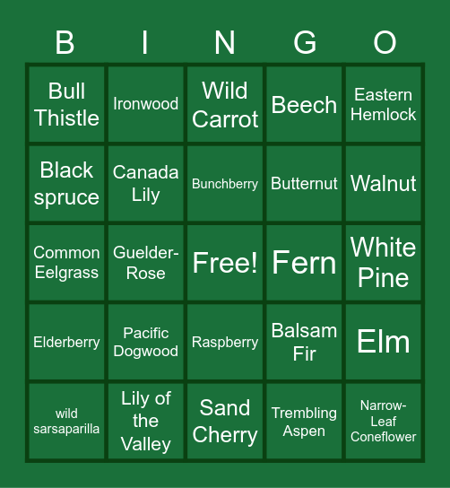 Plant Bingo Card