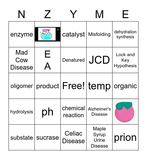 Enzymes and Enzymatic Reactions Bingo Card