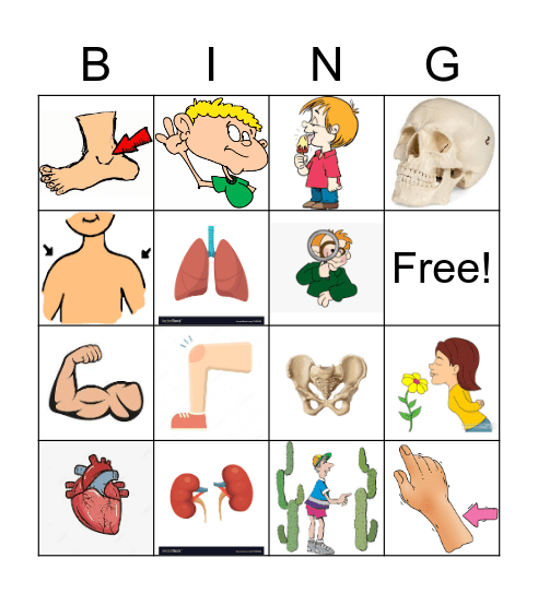 The Human Body Bingo Card