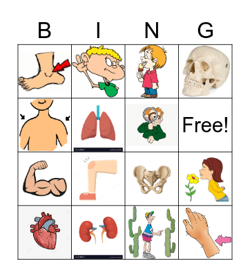 The Human Body Bingo Card