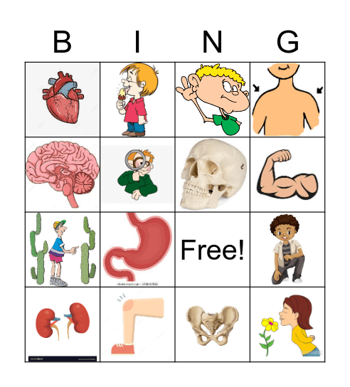 The Human Body Bingo Card