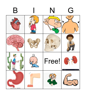 The Human Body Bingo Card