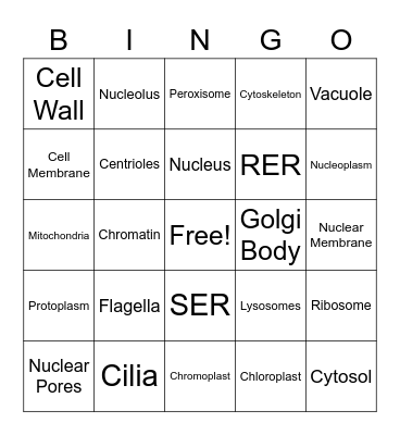 Bio Bingo Card