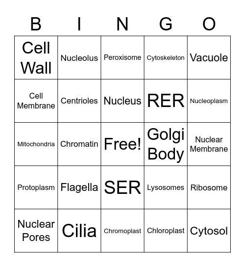 Bio Bingo Card