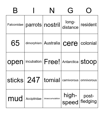 Falconidae Bingo Card