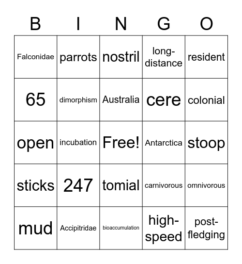 Falconidae Bingo Card