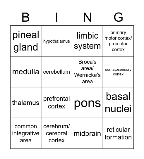 Structures of the Brain Bingo Card