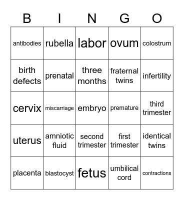 Pregnancy, Labor & Delivery Bingo Card