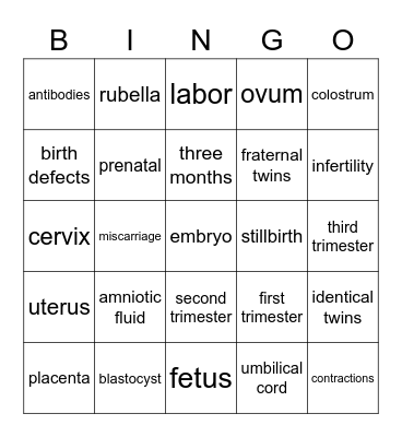 Pregnancy, Labor & Delivery Bingo Card