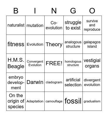 Evolution Bingo Card