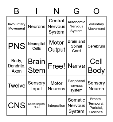 Nervous System Review Bingo Card
