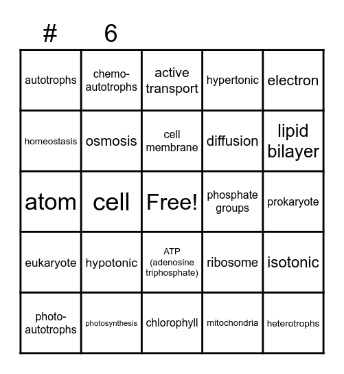 Photosynthesis: Lesson 1 Bingo Card