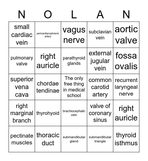 NOLAN bingo! Bingo Card