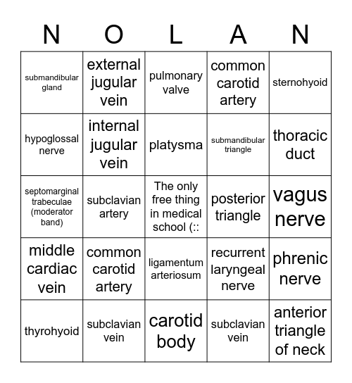 NOLAN! Bingo Card