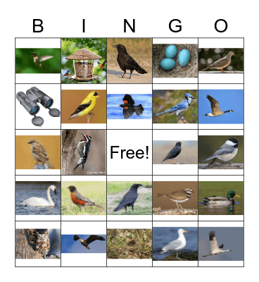 Bird Bingo Card