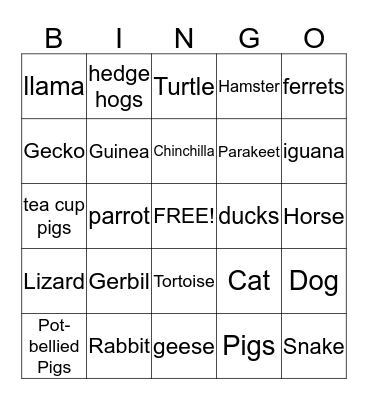 Animals!!! Bingo Card