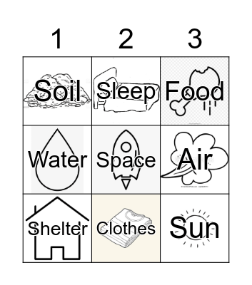 What we need Bingo Card