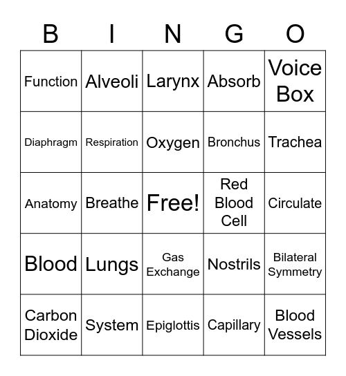 Respiratory System Bingo Card