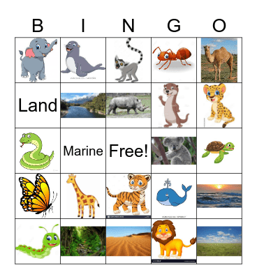 Wildlife Park Bingo Card